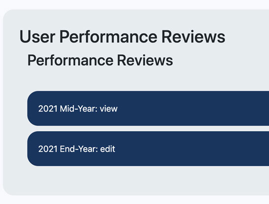 performance review